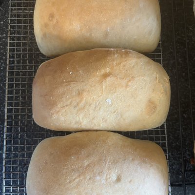 Soft Sandwich Sourdough Loaf