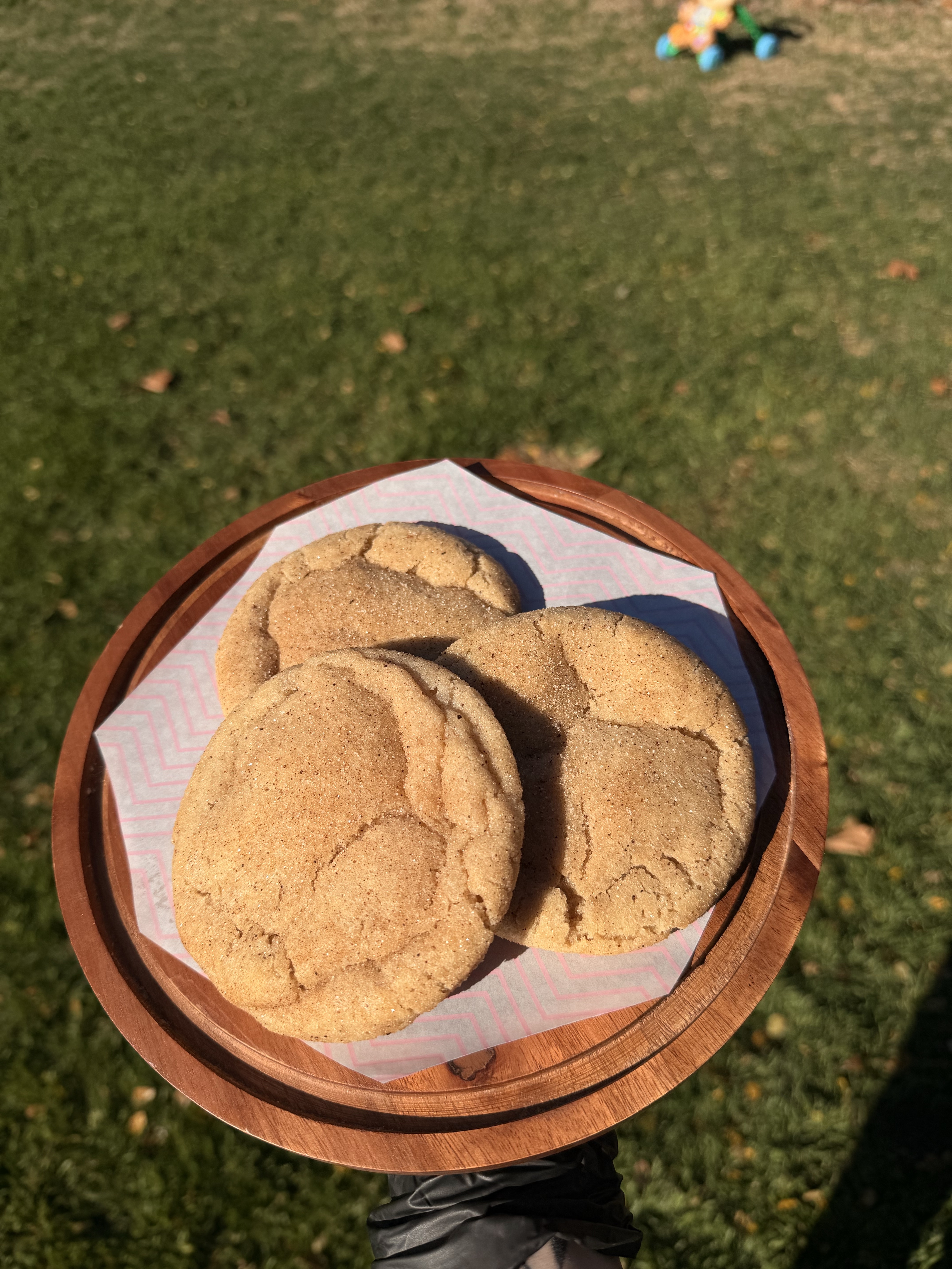 Snickerdoodle 