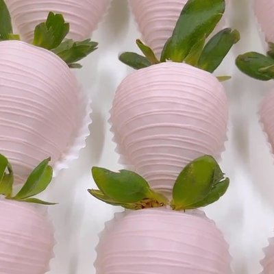 Dozen Strawberries 