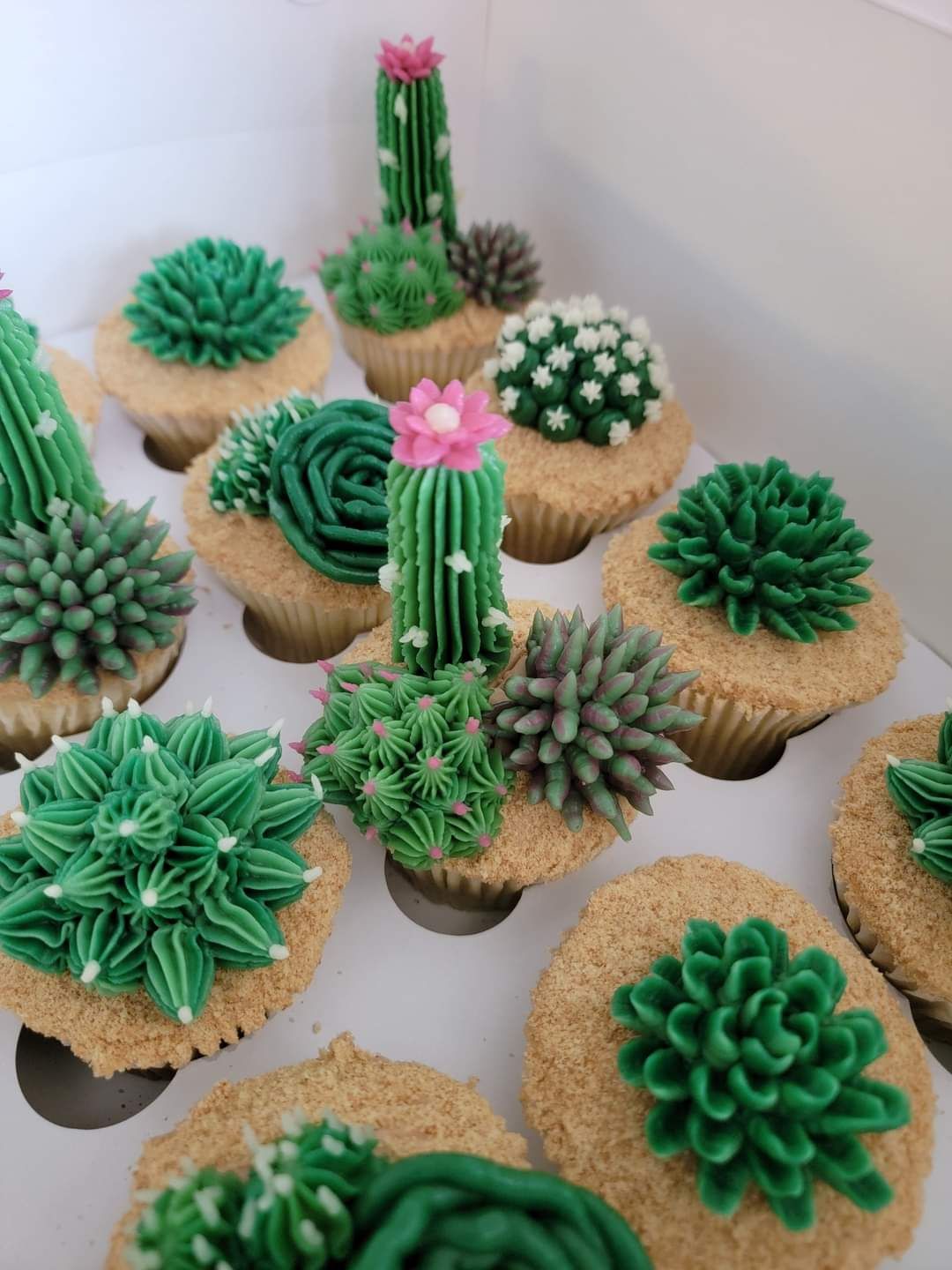 Succulents