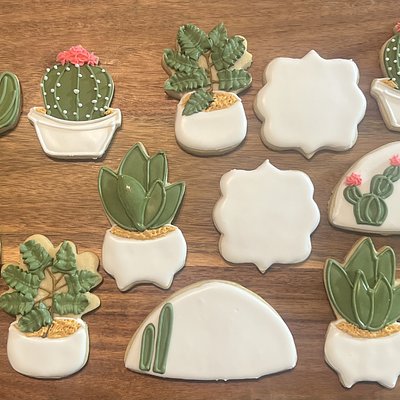 Decorated Sugar Cookies
