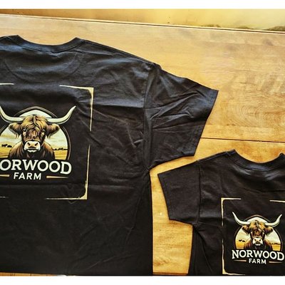 Highland Cow T-Shirt