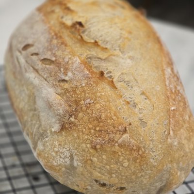 Sourdough Artisan Bread 