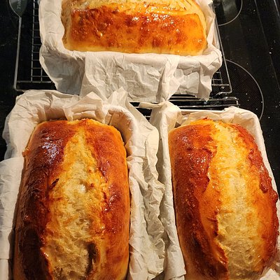 Classic Sourdough Loaf