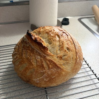 Plain Loaf 