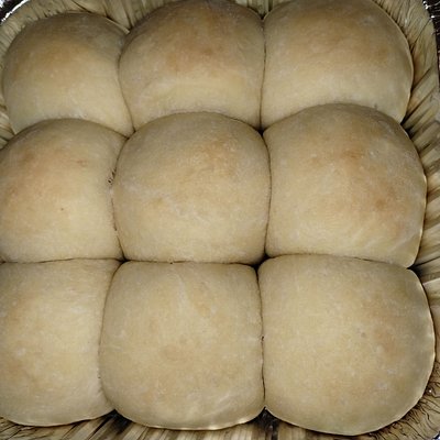 Sourdough Milk Dinner Rolls (9 Pack)