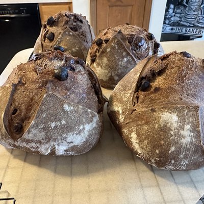 Double Chocolate Sourdough Half Loaf