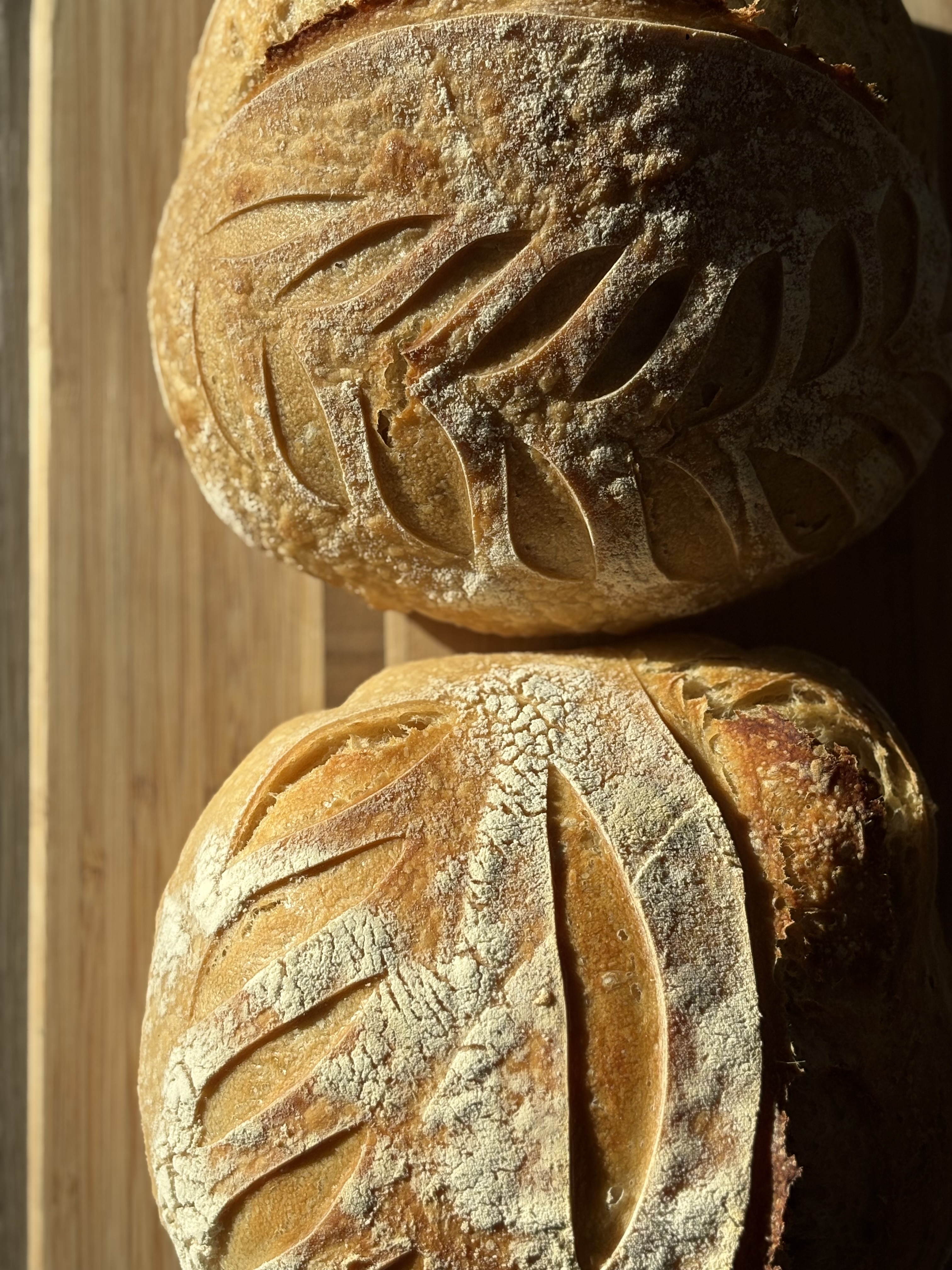 Double Plain Loaves