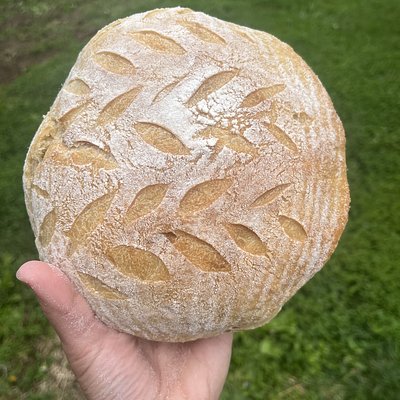 Sourdough Cinnamon Sugar Loaf