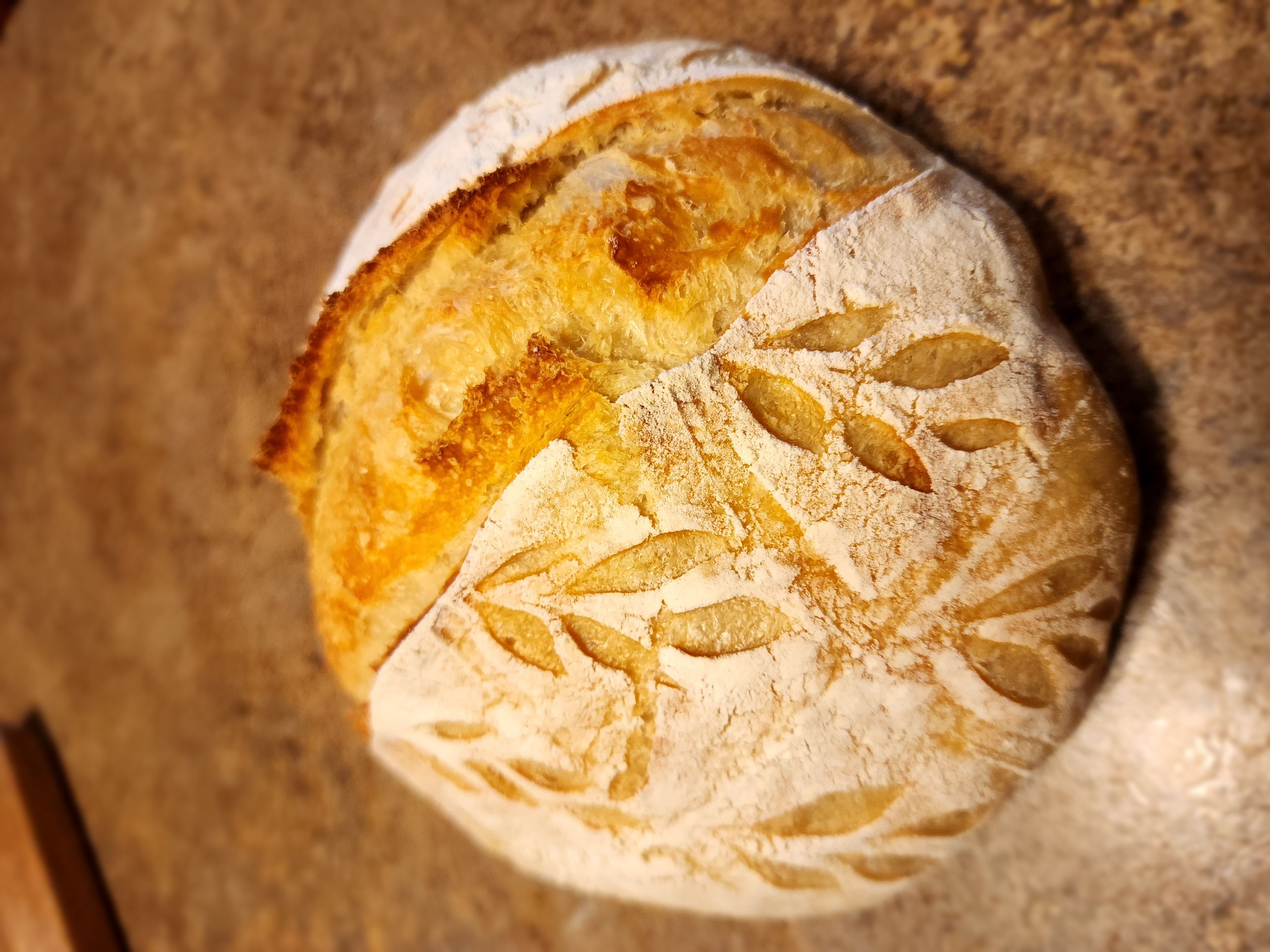 Sourdough Loaf