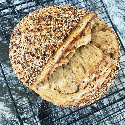 Everything Bagel Sourdough Loaf 
