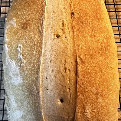 Plain Sourdough Bread Loaf