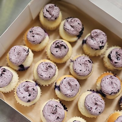 Mini Cupcakes 