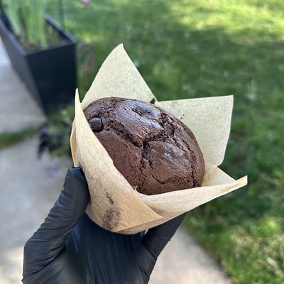 Double Chocolate Muffin