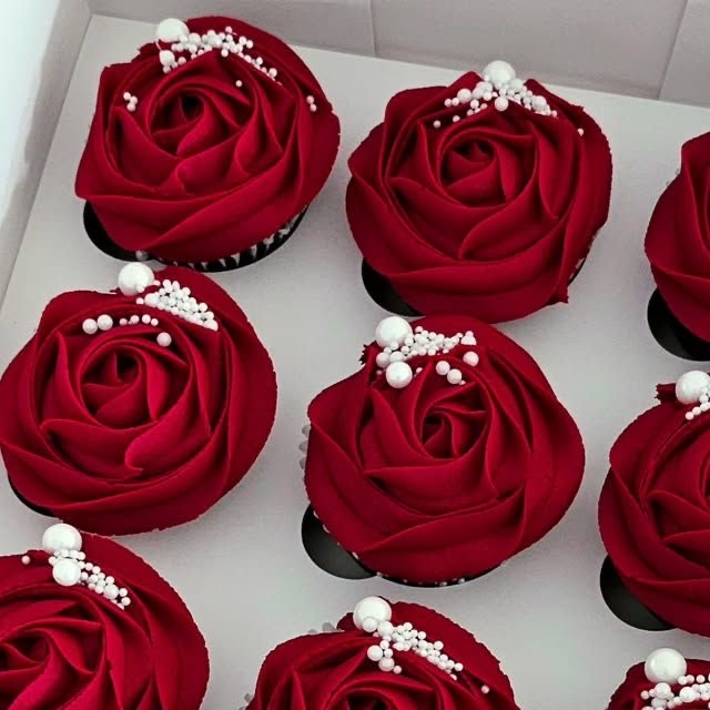 Premium Cupcakes🧁 