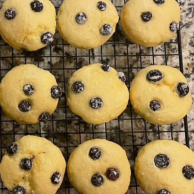 Blueberry Protein Muffins - 20 Muffins 