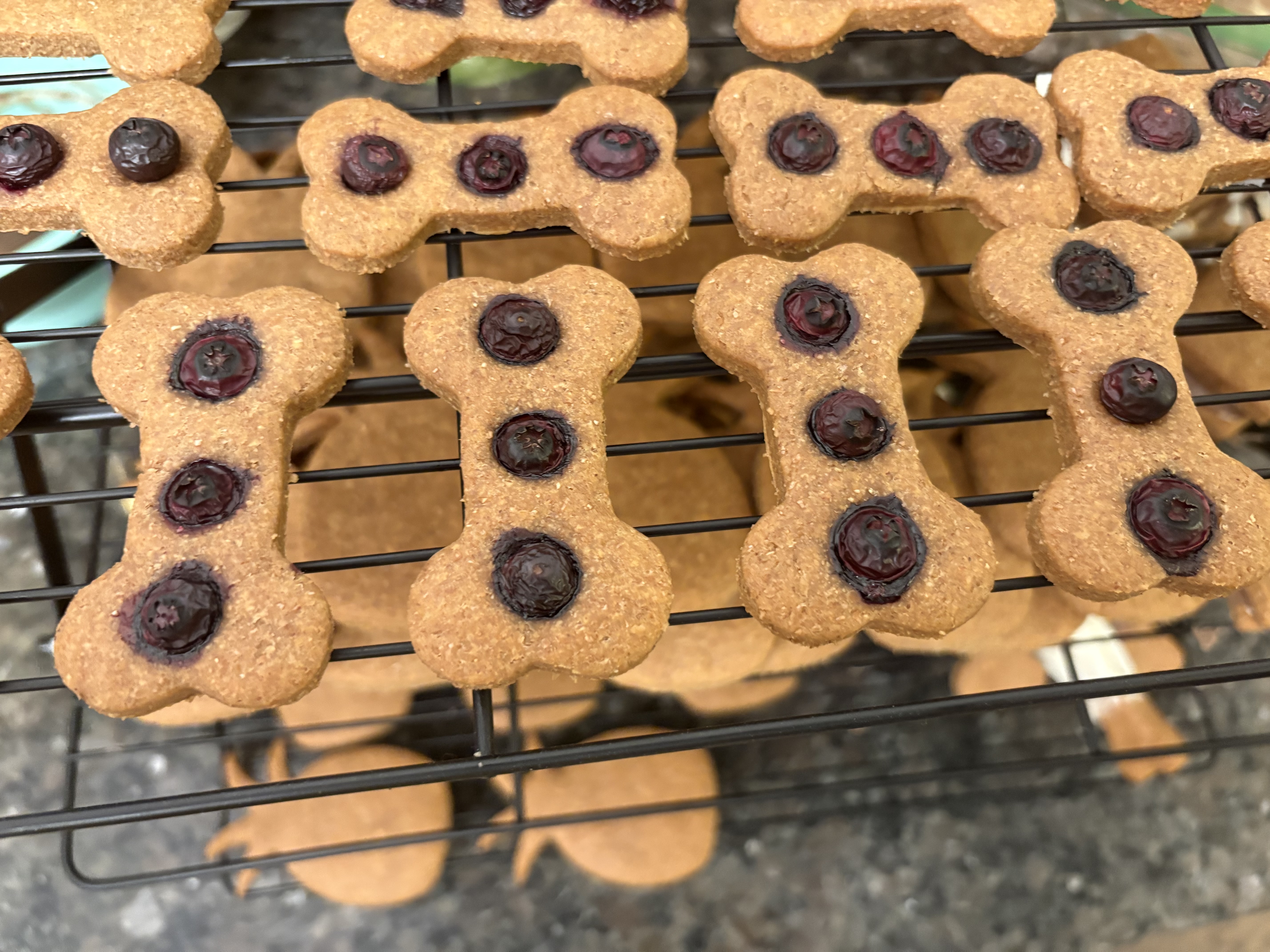 Blissful Blueberry Bites