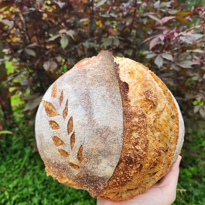 Artisan Sourdough Boule