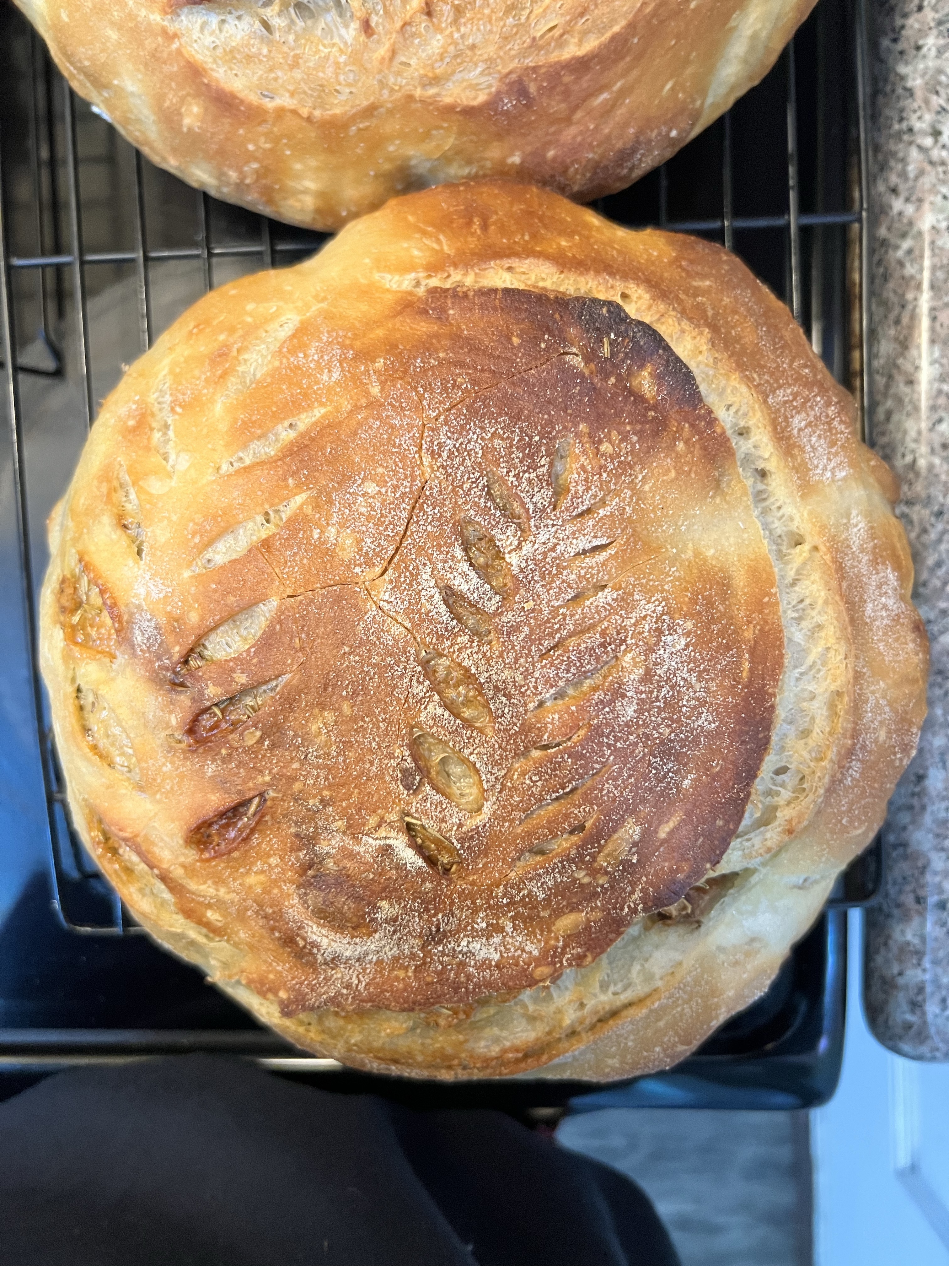 Garlic Parm. Rosemary Sourdough