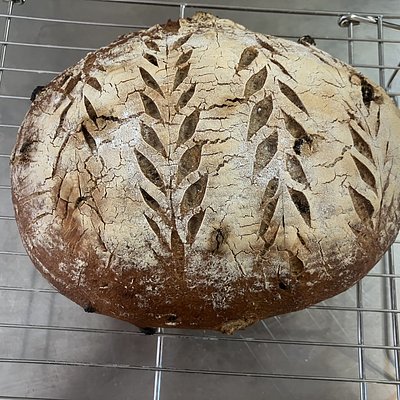 Cinnamon Raisin Yeast Artisan Loaf 