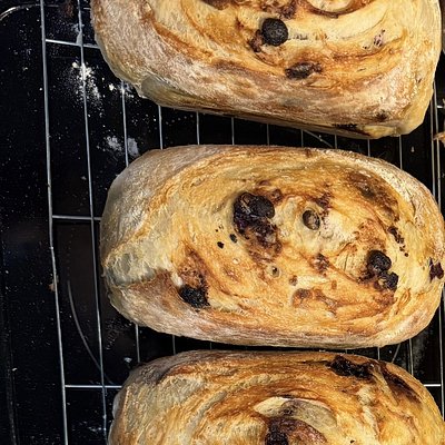 Sourdough Lemon Blueberry Loaf