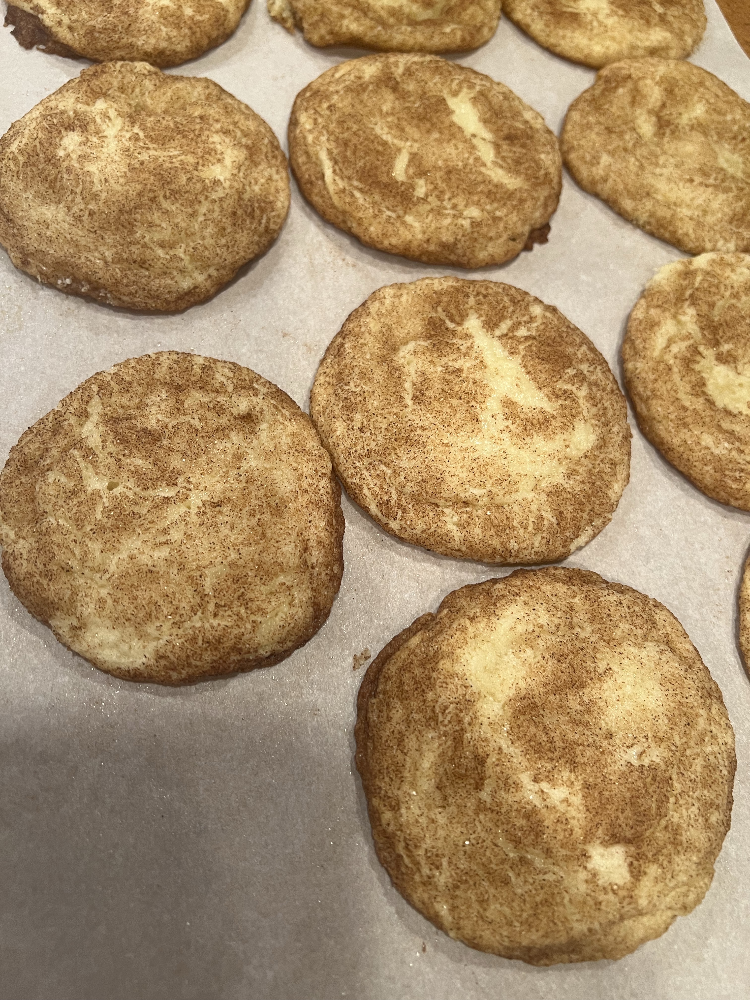 1/2dozen Snickerdoodles