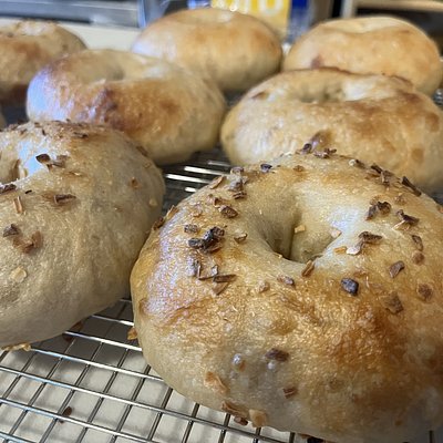 White Cheddar & Onion Sourdough Bagels (4-pack)