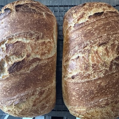 Sourdough Sandwich Bread 