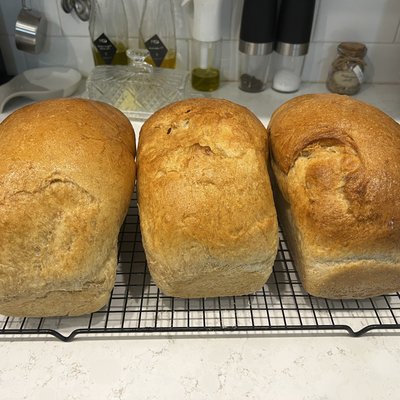 Whole Wheat Bread 