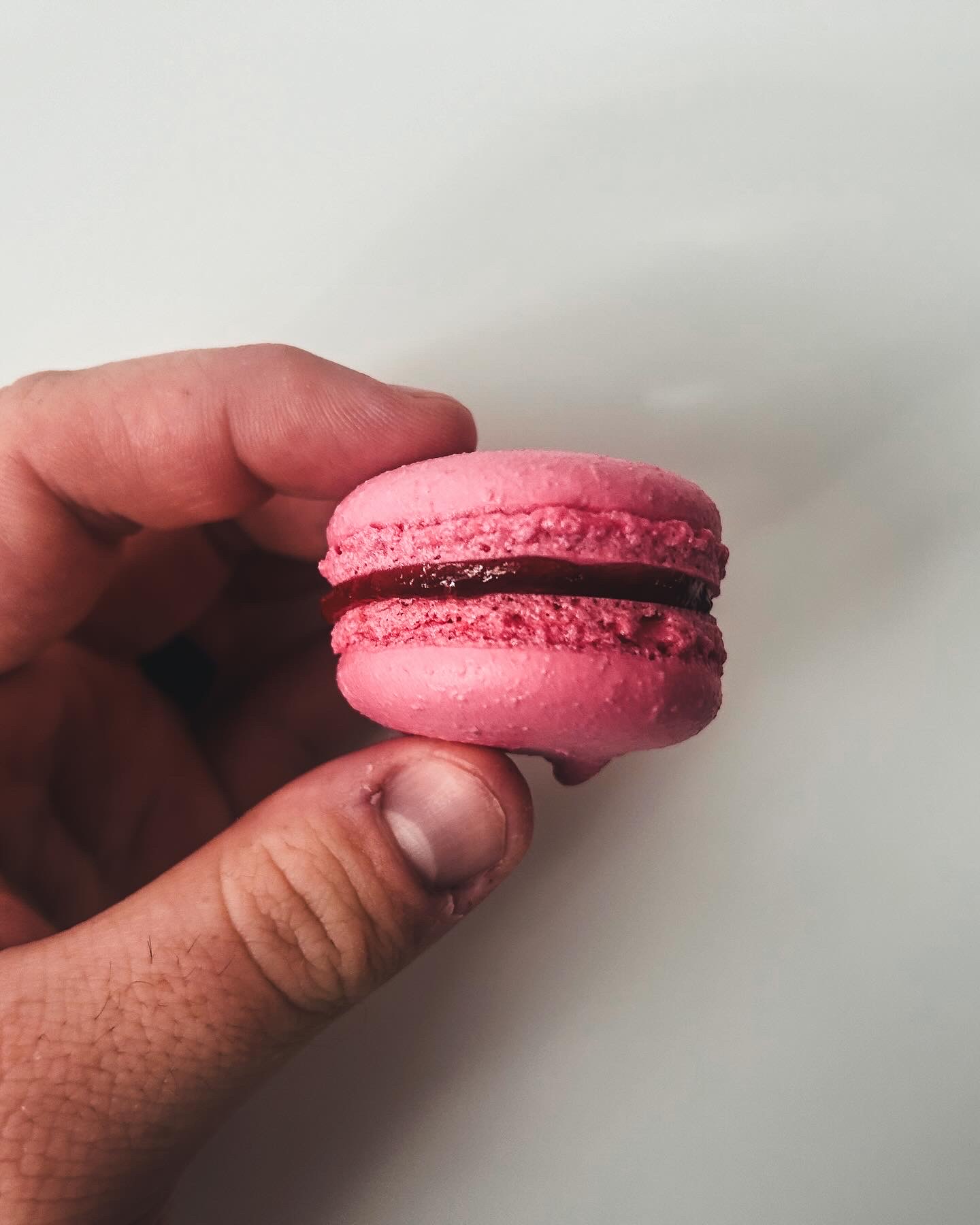 Fruit Filled Macaron