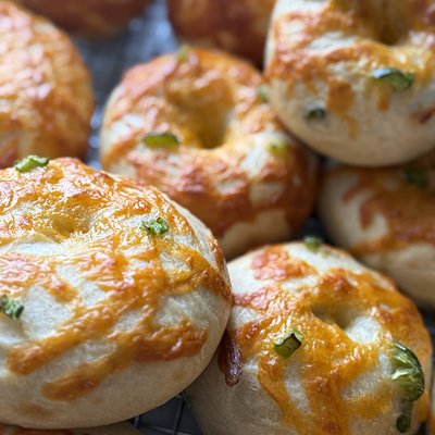  6  Jalpeno Cheddar Sourdough Bagels