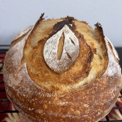 Mini Plain Soft Sourdough (*contains milk *)
