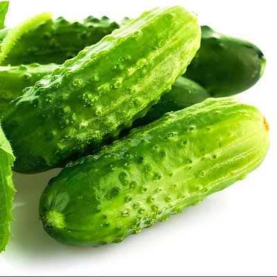 Cucumber