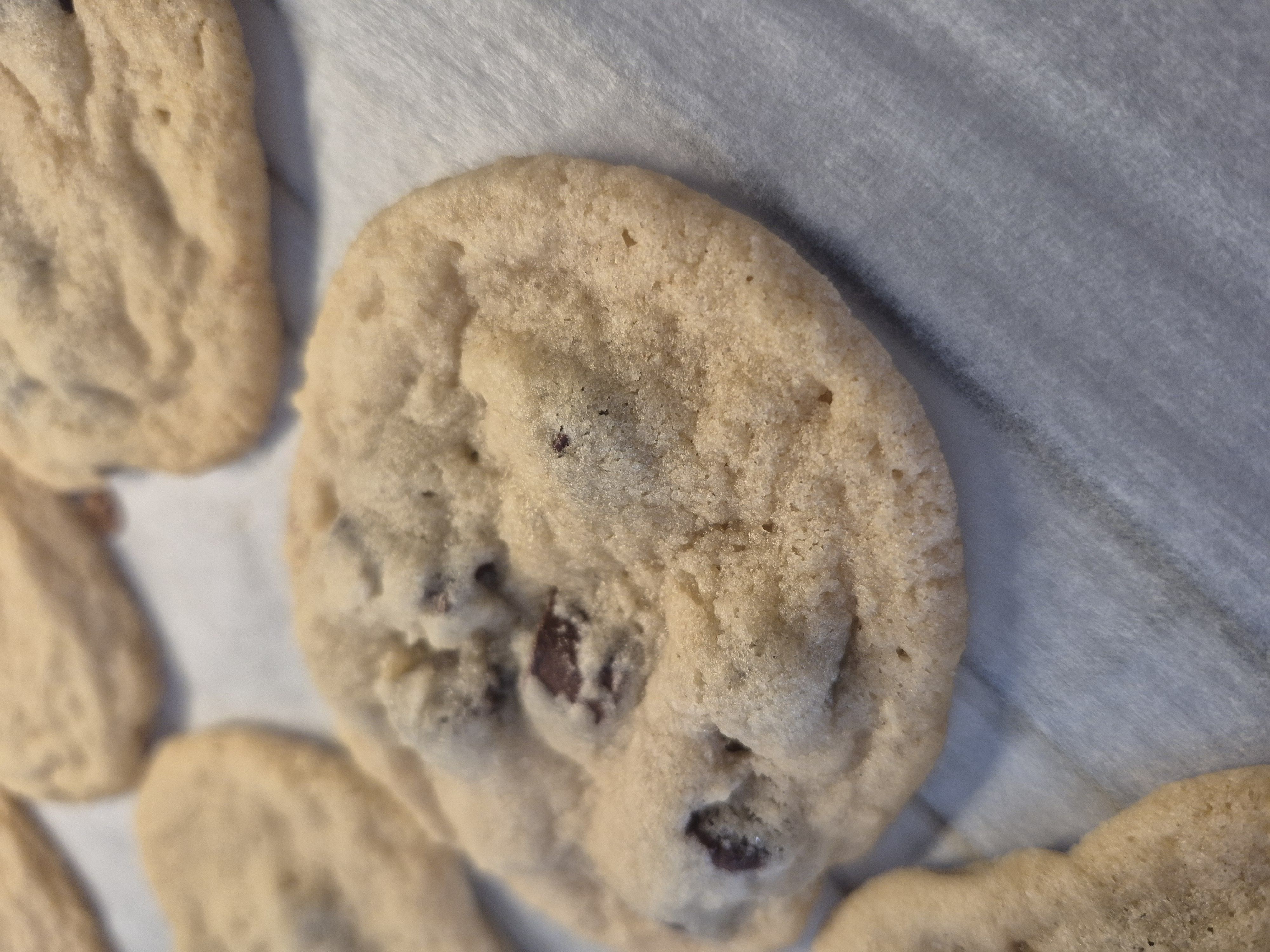 Chocolate Chip