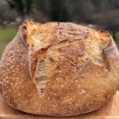  Organic Country Sourdough 
