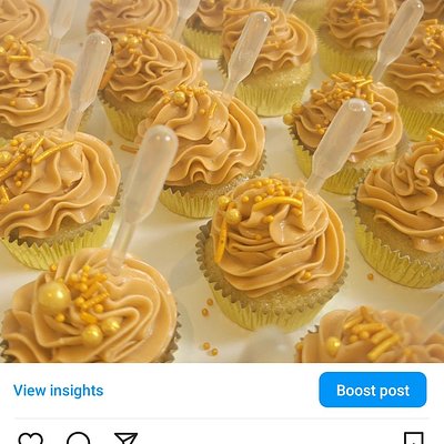 Boozy Standard Size Cupcake 