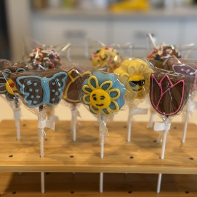 Chocolate Cake Pops (6)