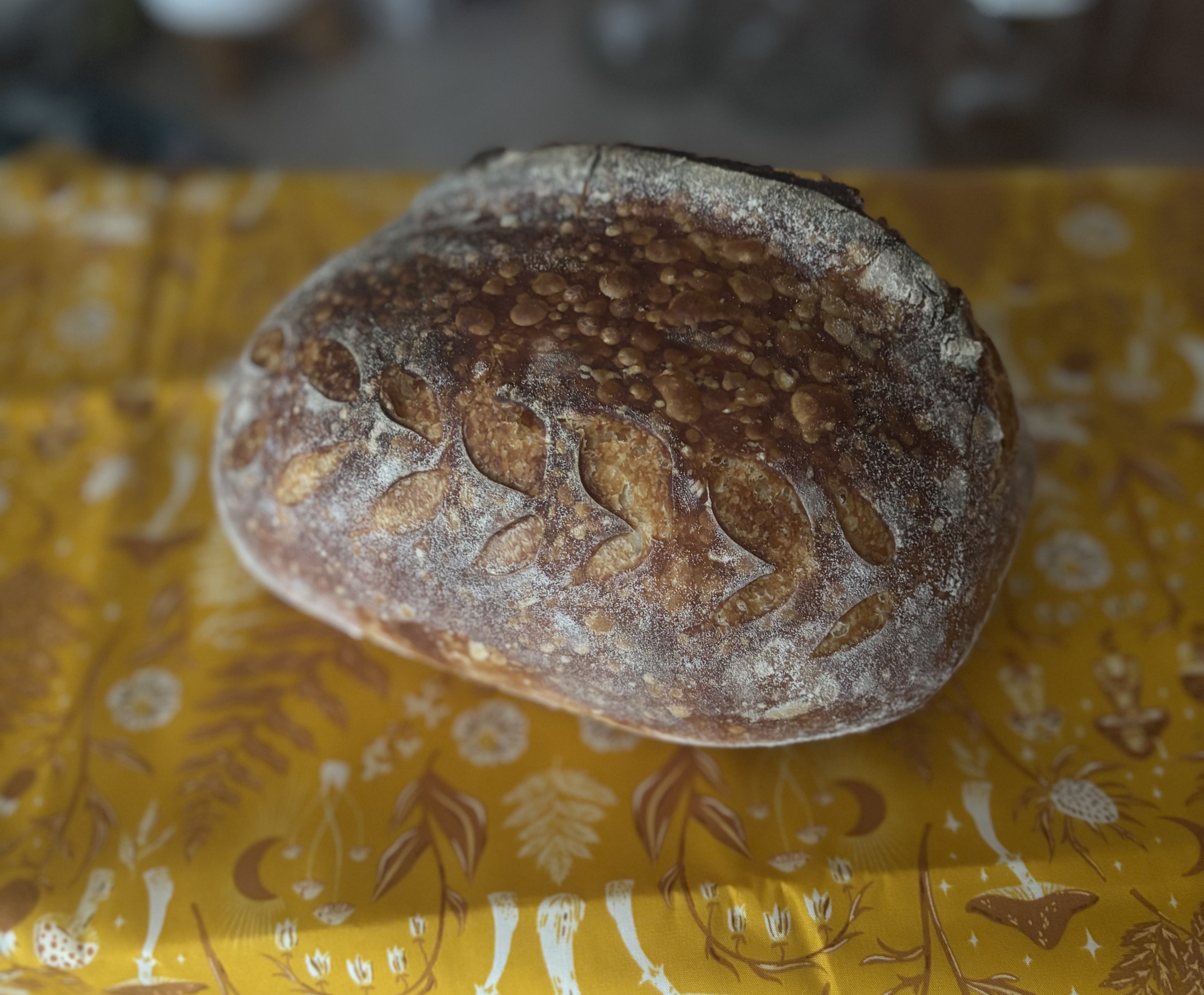 Plain & Simple Half Sourdough Loaf 
