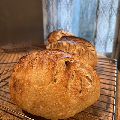 Garlic Cheddar Sourdough