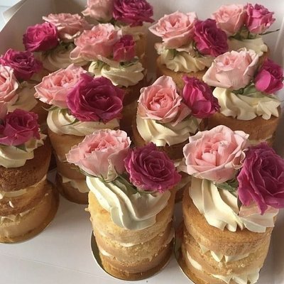 Cake Shooters