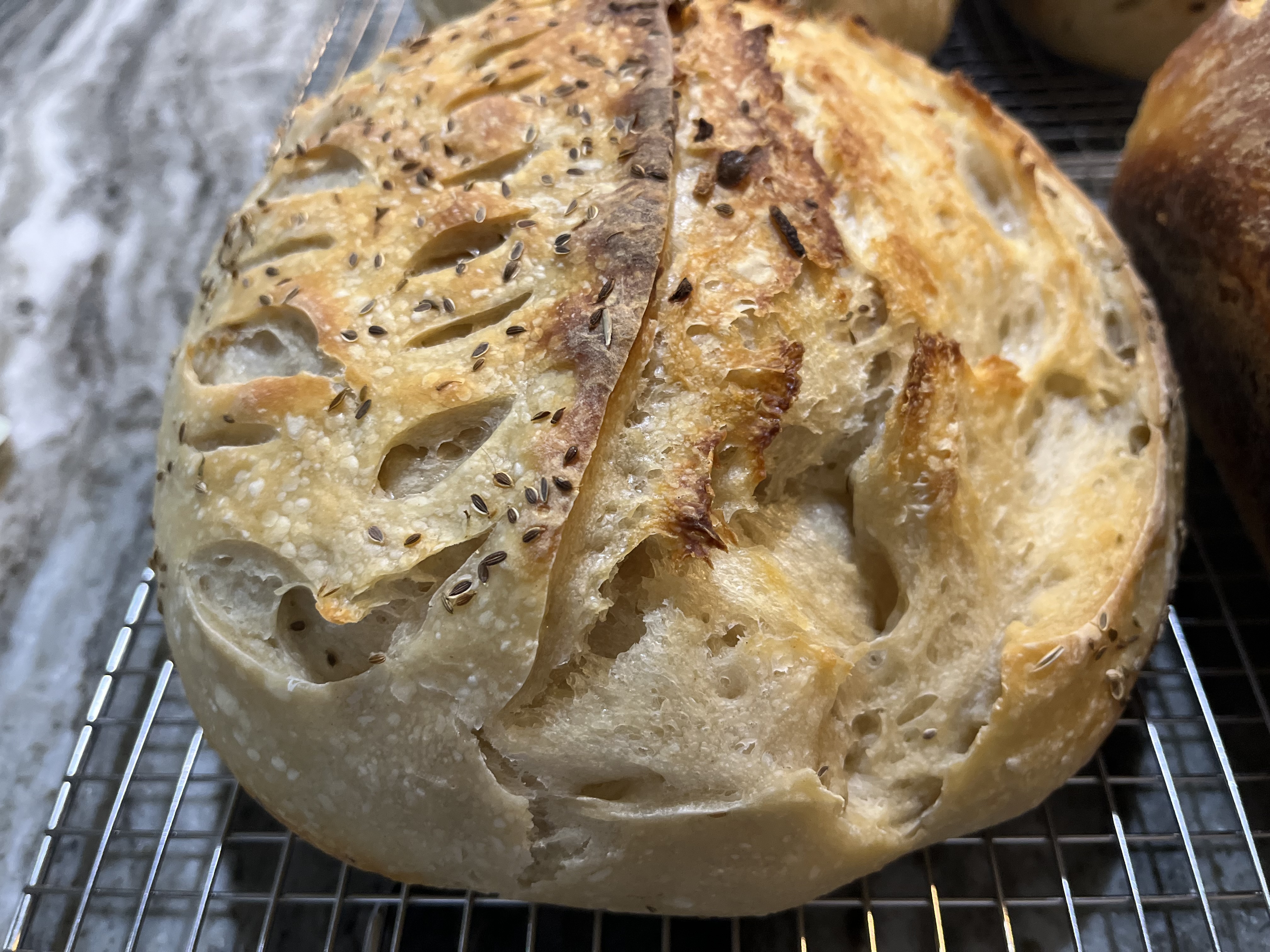 Dill and Onion Sourdough