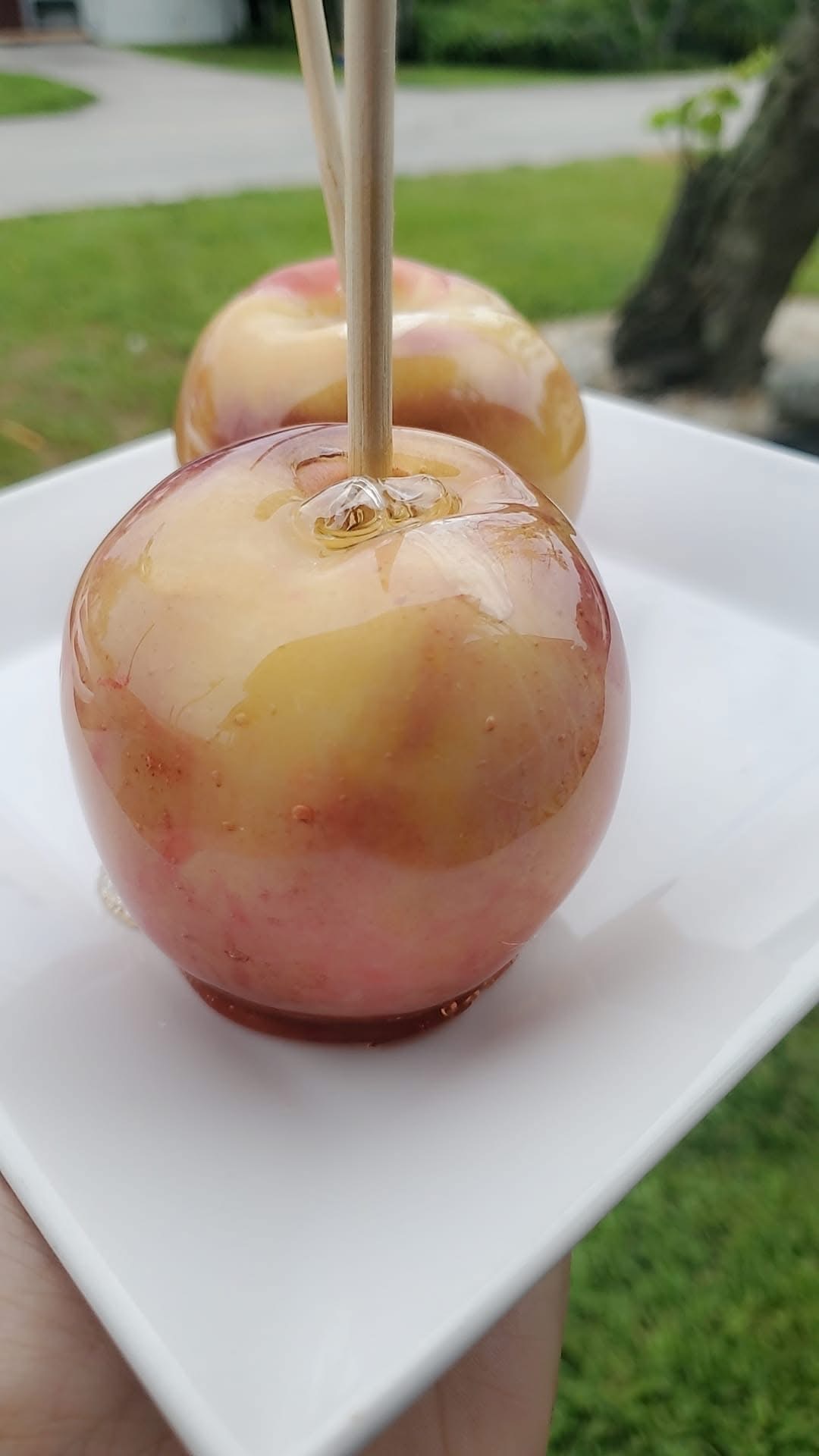 Candy Peaches (2)