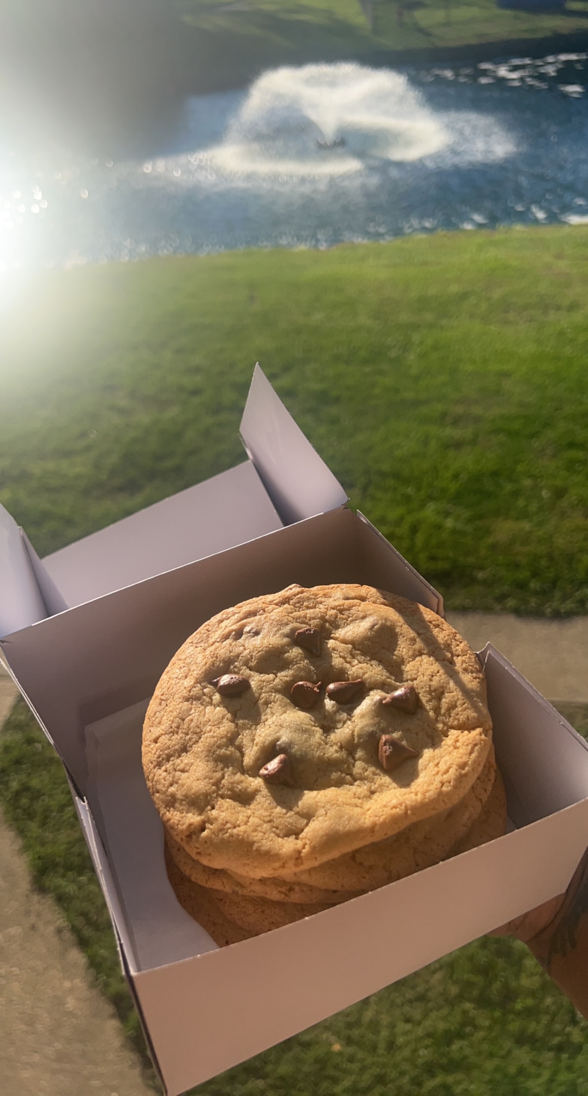 Cookies