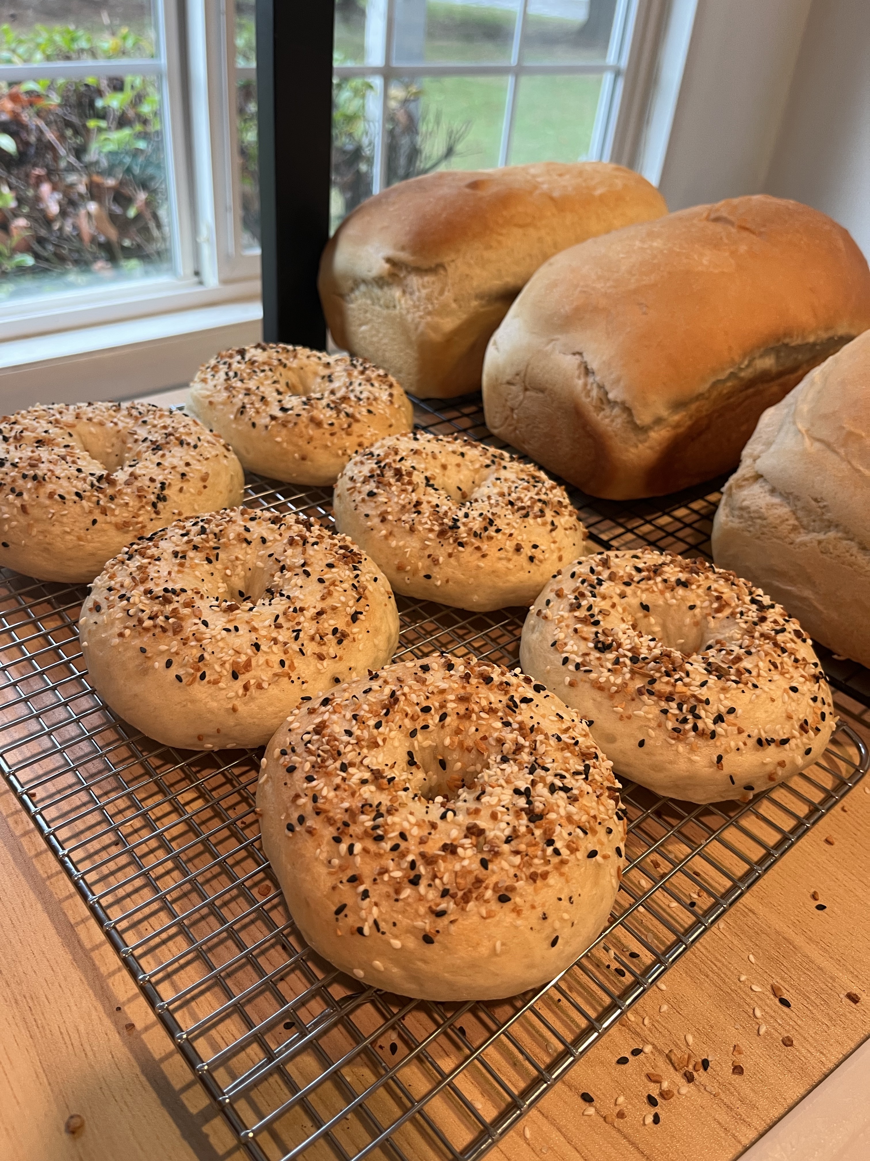 Everything Bagels~Packs Of 4