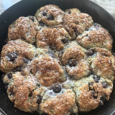 Blueberry Crunch Biscuit 