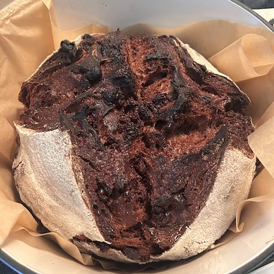 Double Chocolate Chip Sourdough Loaf