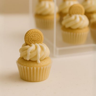 Vanilla Mini Cupcakes (24)