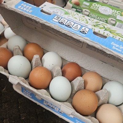 Pastured Soy Free Eggs 
