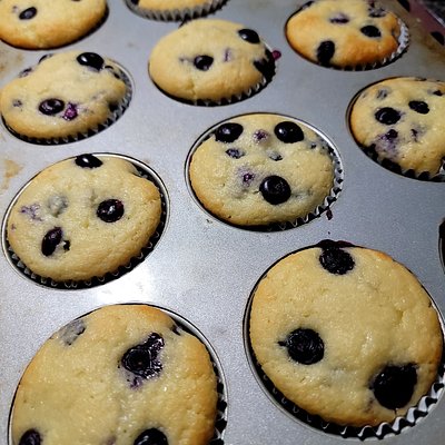 Keto Blueberry Muffins 6 Pack