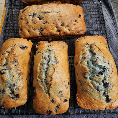 Blueberry Bread 